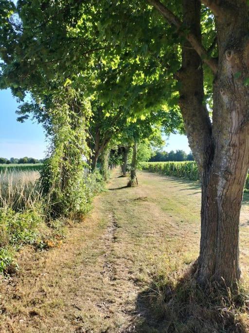 Cosy Cottage With Vineyard View Near Goodwood Chichester Exterior foto